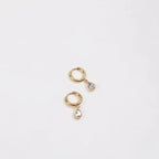 18K Gold Plated Earrings Stainless Steel Waterdrop Zircon Hoop Earring for Girls FJE0176 My Store