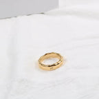 Ins Hot High End 18K Gold Plated Chunky Bamboo Rings Trendy Earrings Wholesale Stainless Steel Jewelry My Store