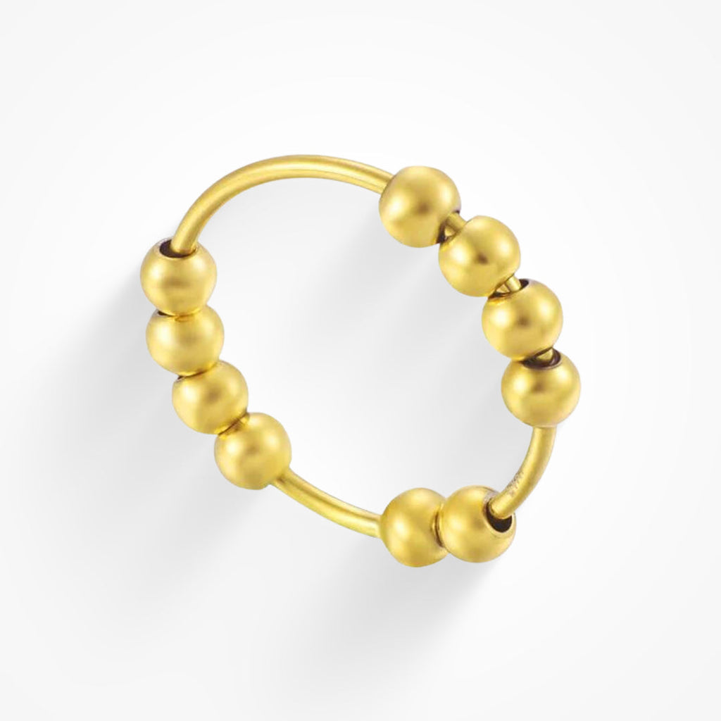 Anxiety Fidget Ring Lee