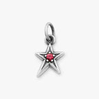 Shining Star Birthstone Charm James Avery