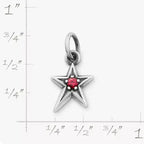 Shining Star Birthstone Charm James Avery