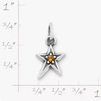 Shining Star Birthstone Charm James Avery