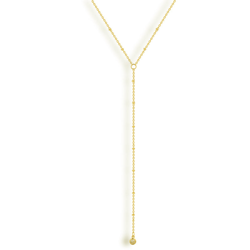 Dazzling Lariat Necklace Lee