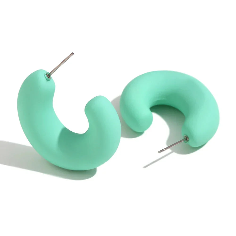 Colorful ABS Resin Spring Jewelry Enamel Hoop Earrings Stainless Steel Jewelry Gifts for Women My Store