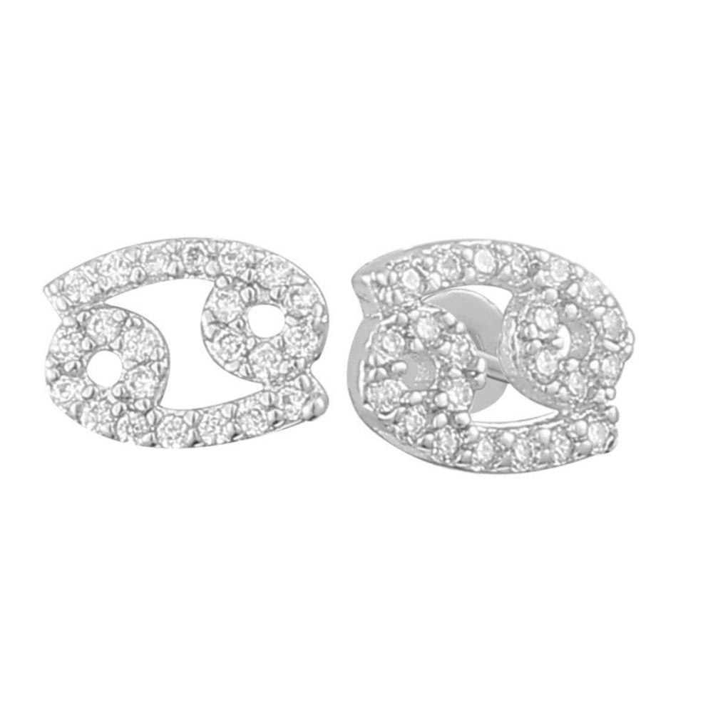 Stargazing Earrings Lee