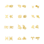 Stargazing Earrings Lee