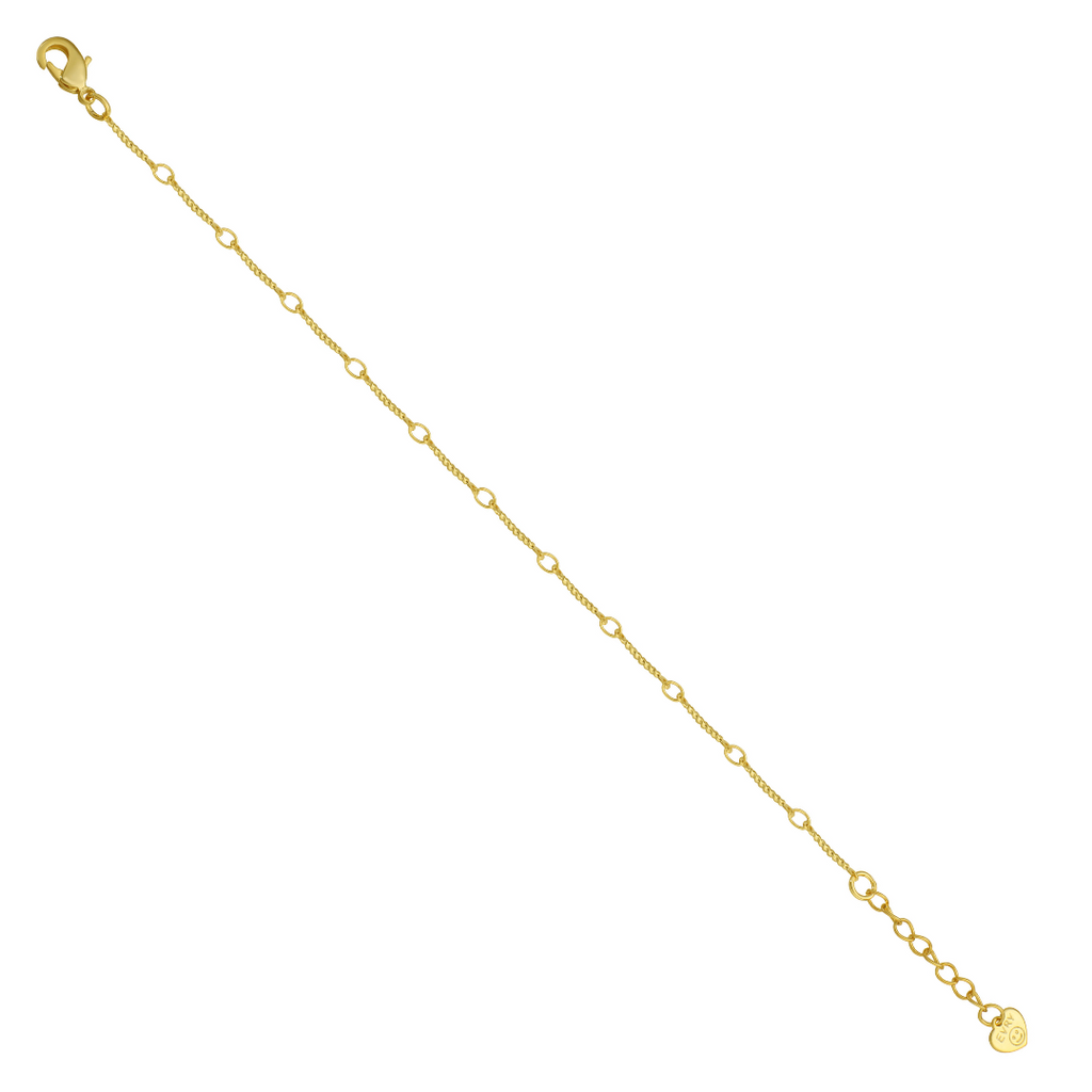 Bar Chain Bracelet Lee