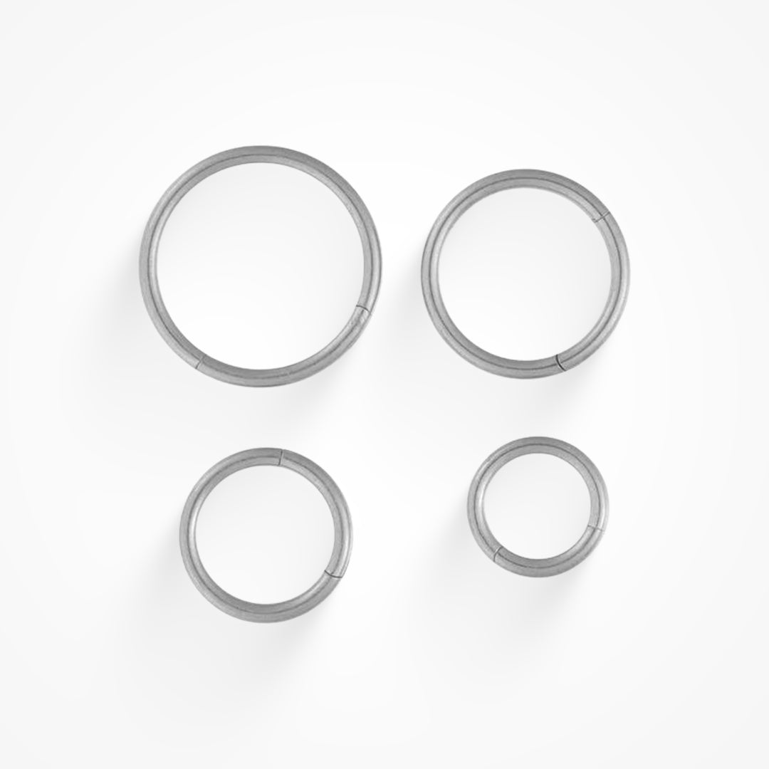 Evryday Nose Ring Lee