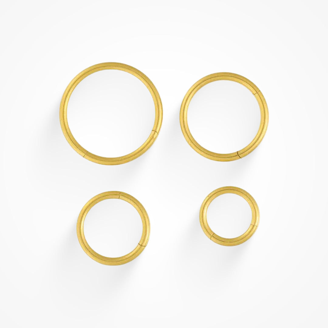 Evryday Nose Ring Lee