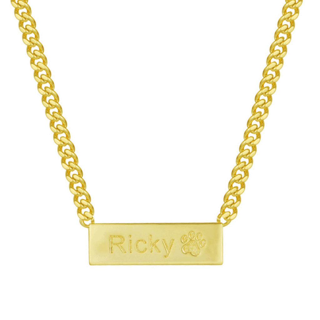Custom/Personalized Necklace Lee