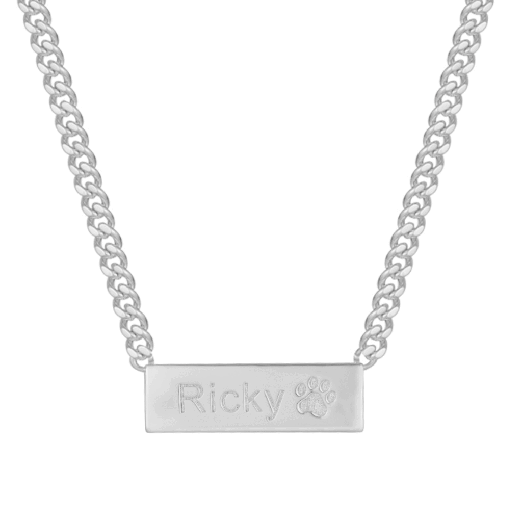 Custom/Personalized Necklace Lee