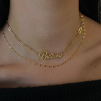 Custom/Personalized Paperclip Nameplate Necklace Lee
