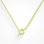 Locked In The Loop Necklace Lee