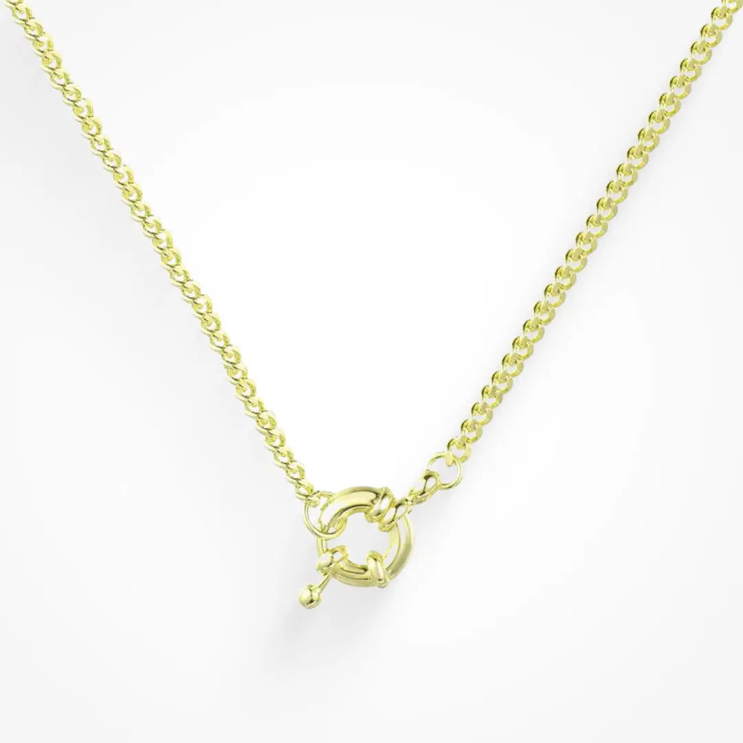 Locked In The Loop Necklace Lee